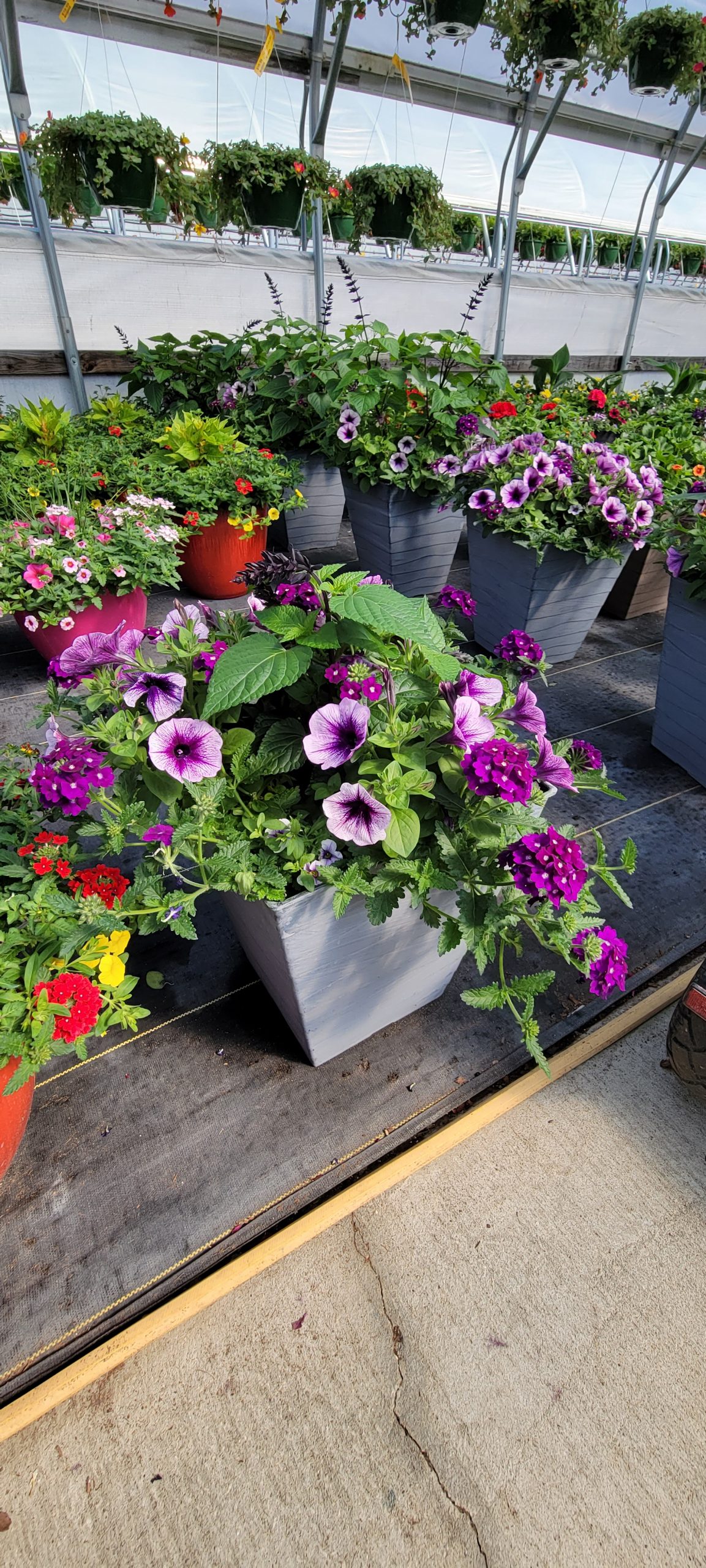 A flowering patio planter!
