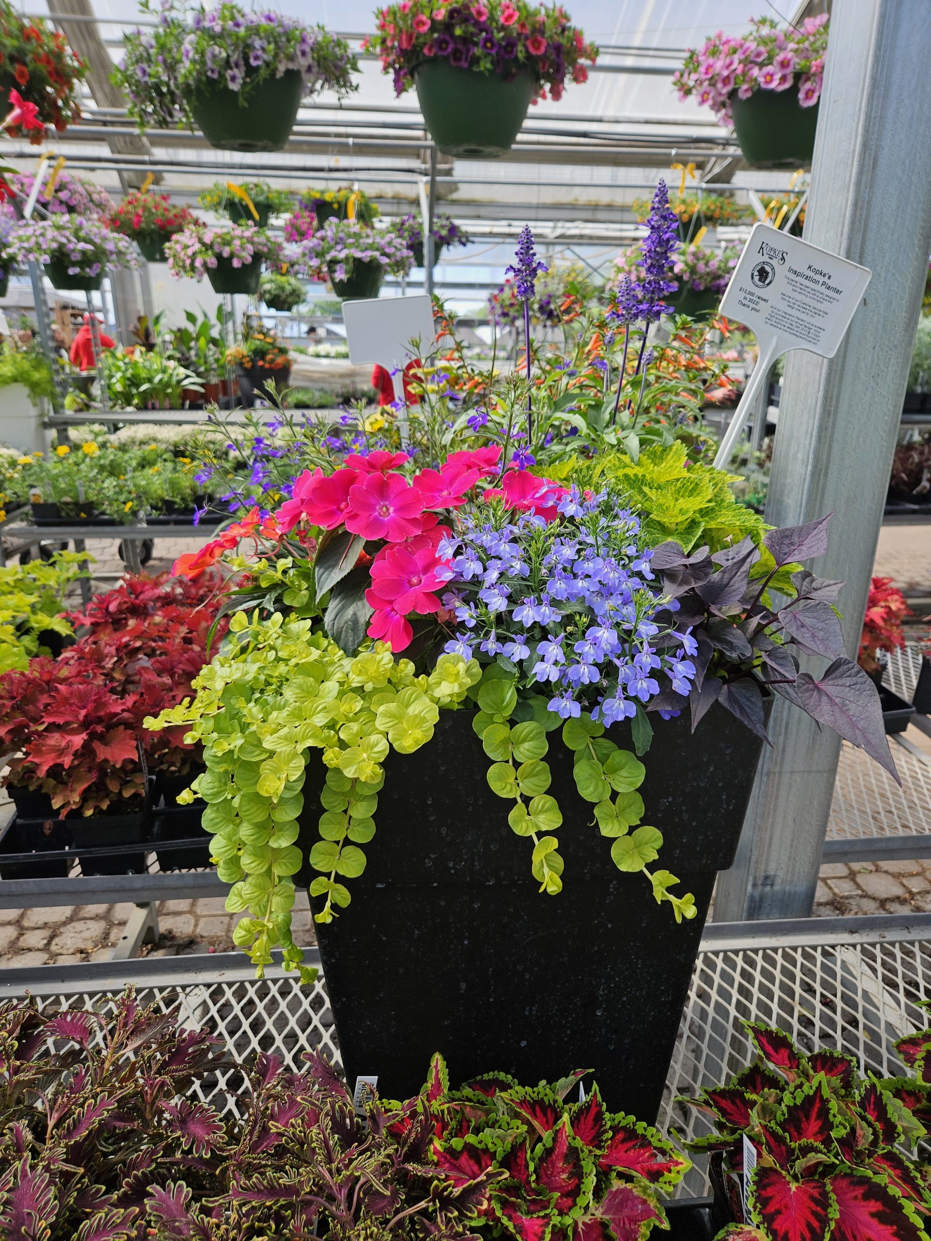 A flowering patio planter