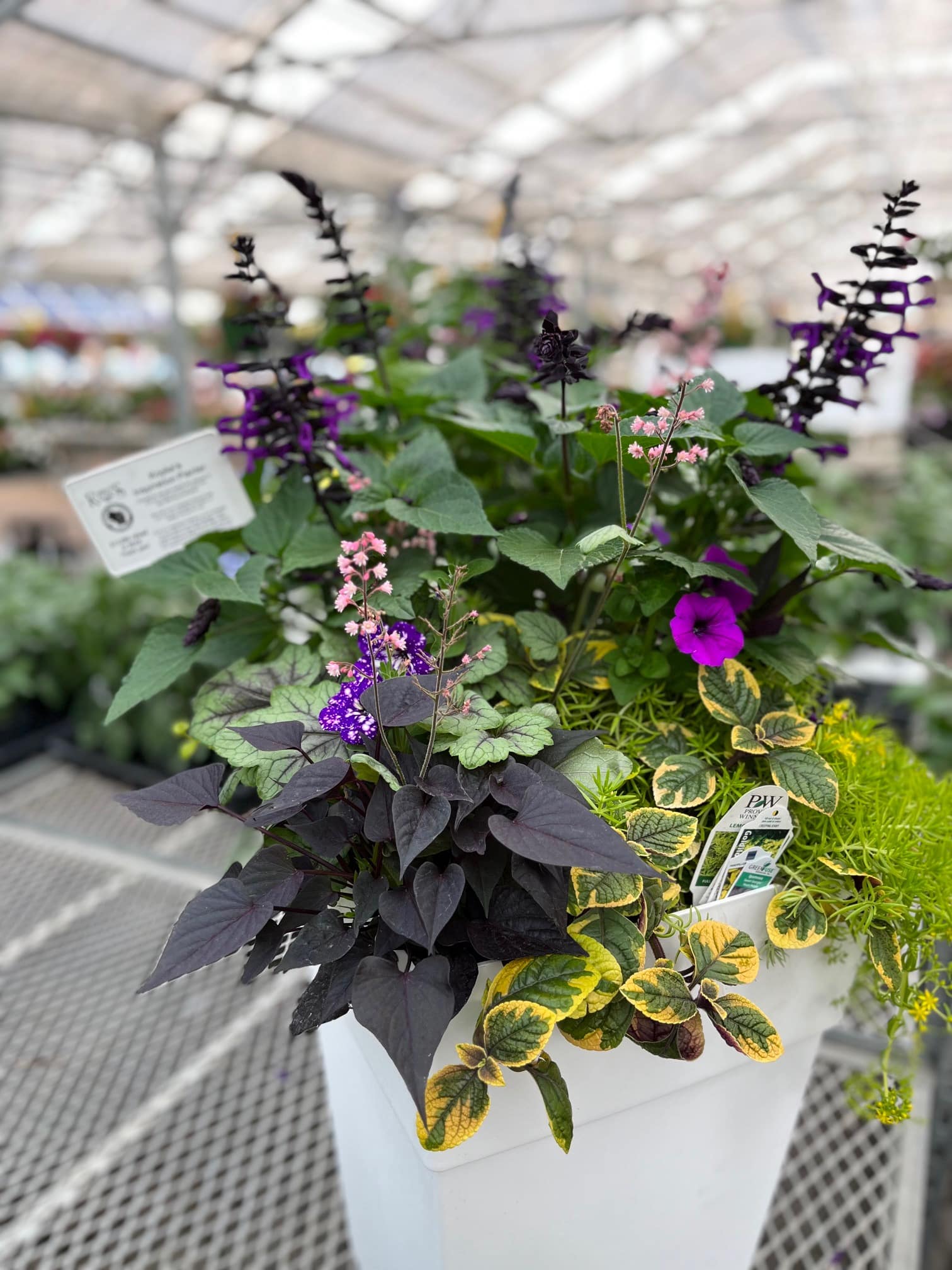 A flowering patio planter