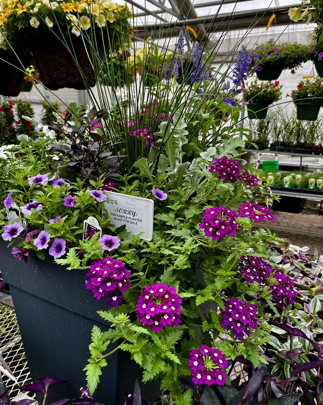 A flowering patio planter