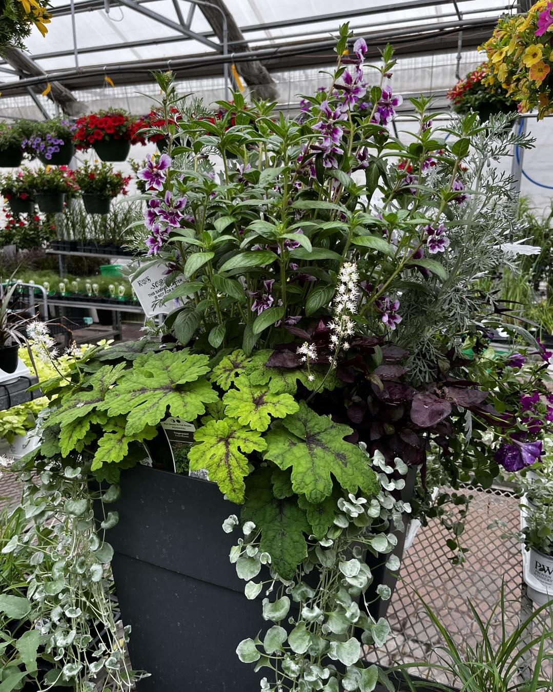 A flowering patio planter