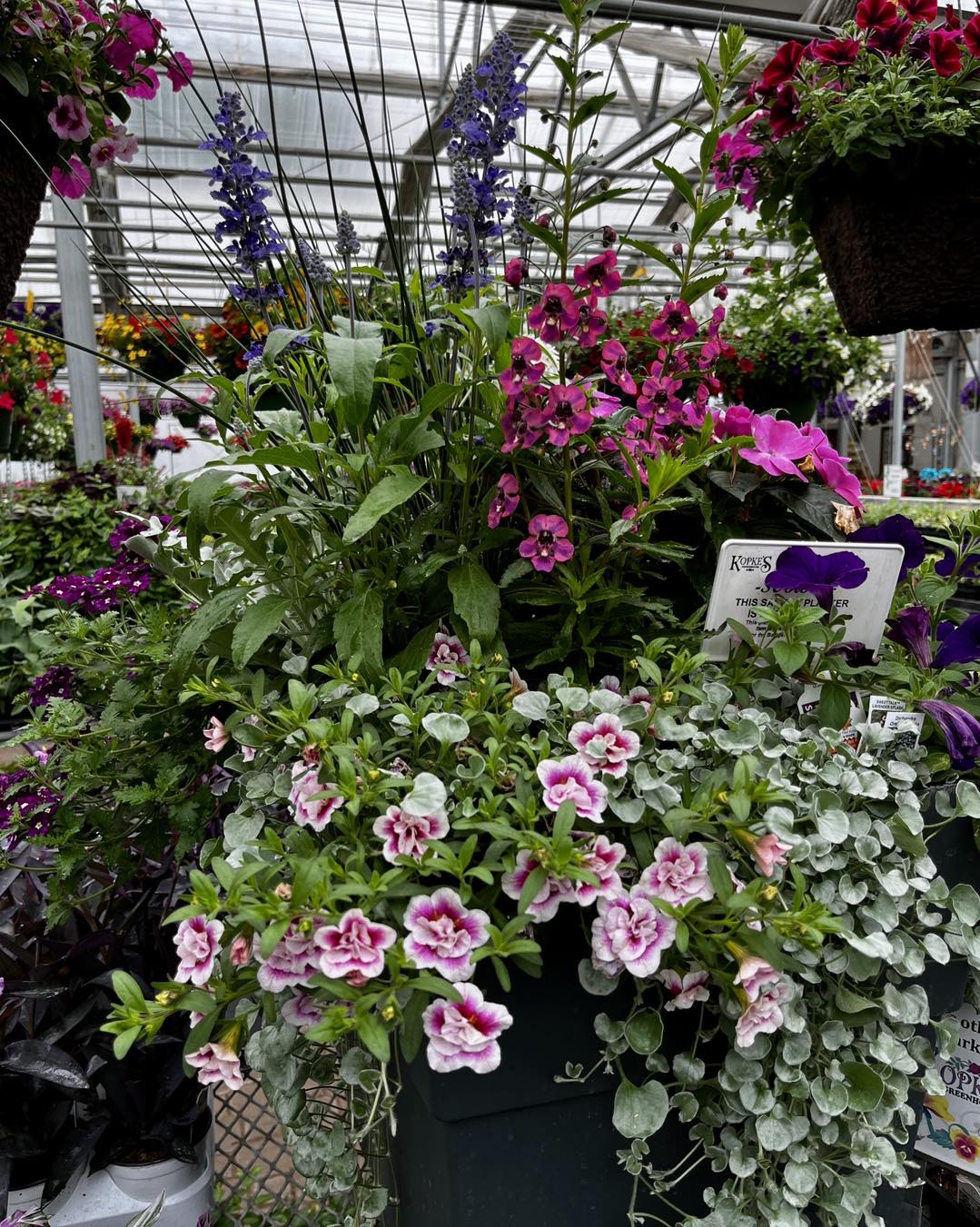 A flowering patio planter
